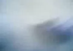 Kahverengi çocuk döller ve şişkoların pornoları yüz sürmek