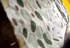 Büyük memeli kadınlar şişman kadın pornocu süt